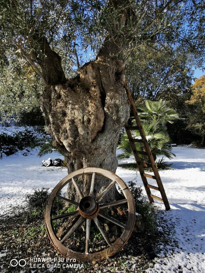 Antico Palmento Dell'etna Guest house Pedara