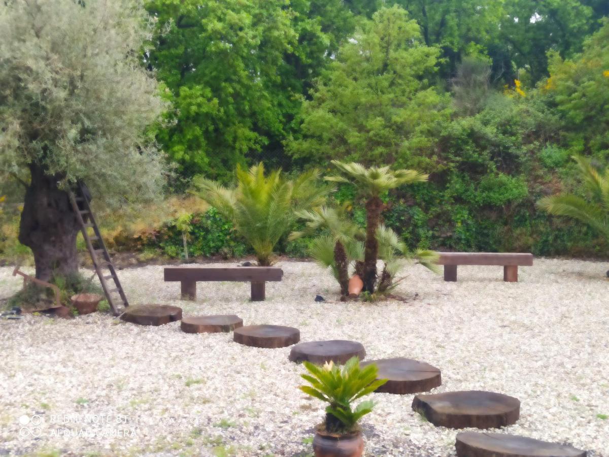 Antico Palmento Dell'etna * Pedara