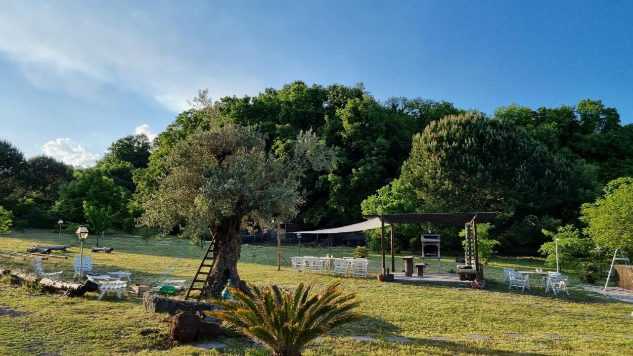 Antico Palmento Dell'etna *